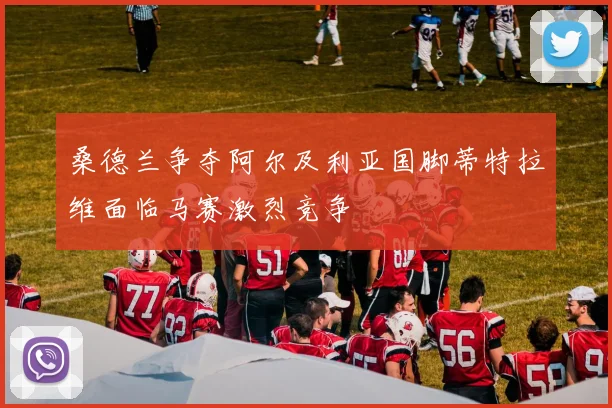 桑德兰争夺阿尔及利亚国脚蒂特拉维面临马赛激烈竞争