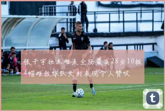 张子宇独木难支全场最高28分10板4帽难救球队失利表现令人赞叹